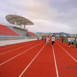 拼裝運動地板供應與批發指南 產品、價格與選購渠道
